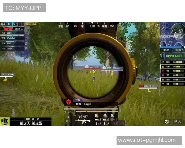 和平精英战术解析TES战队防反策略的深度剖析与应用